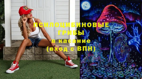 сатива Дедовск