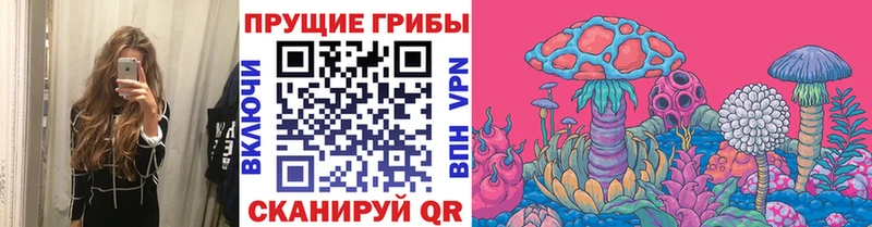 блэк спрут рабочий сайт  Котельнич  Псилоцибиновые грибы GOLDEN TEACHER 
