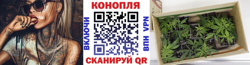 Каннабис OG Kush  Котельнич 